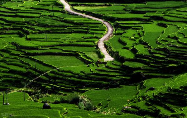 美麗景色，金山銀山不如綠水青山，人間美景，美不勝收