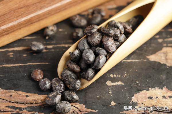 實火當瀉，送你一味梔子，善清三焦之火，不來了解下嗎