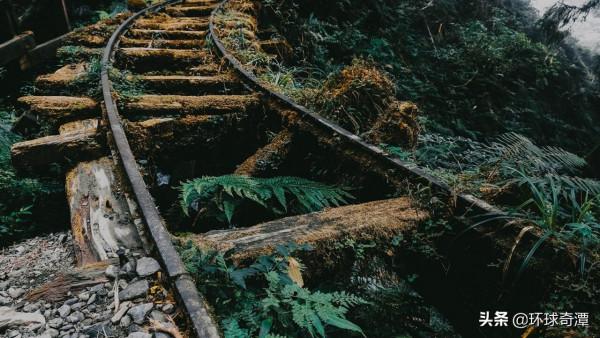 中國臺灣省：霧氣籠罩的太平山國家森林遊樂區