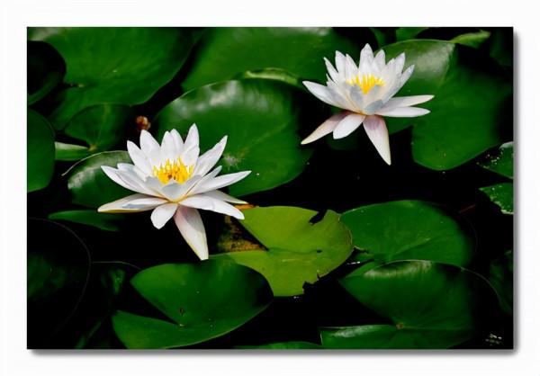 改變自己:“毋意,毋必,毋固,毋我”,無私無蔽,豁達通明 改變自己:“毋意,毋必,毋固,毋我”,無私無蔽,豁達通明