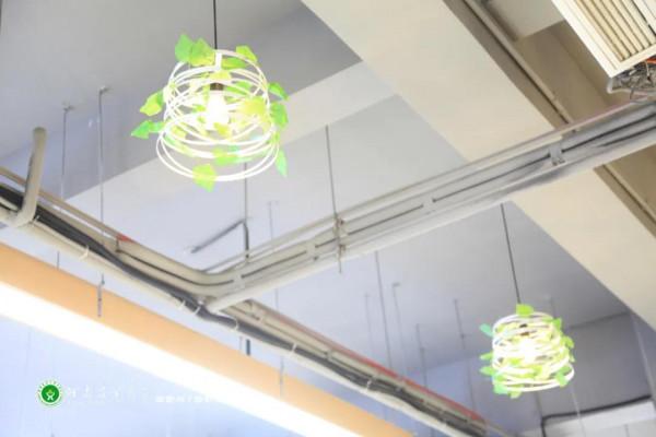 美美美,14000㎡等你發現,農大餐廳煥新啦 美美美,14000㎡等你發現,農大餐廳煥新啦