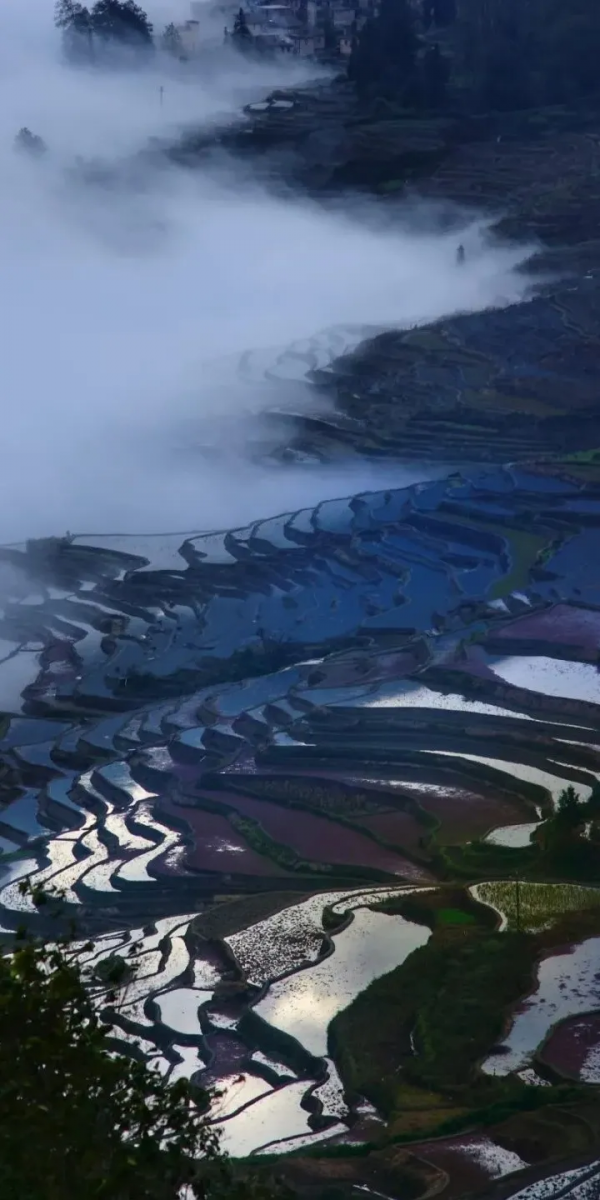 《12月限定丨國內旅行目的地指南》