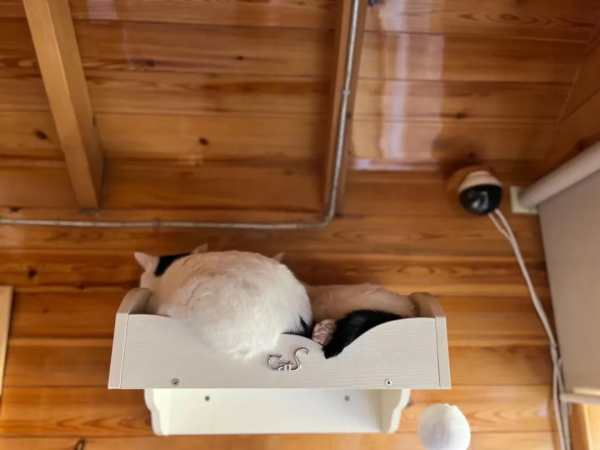 你能全答對，算我輸