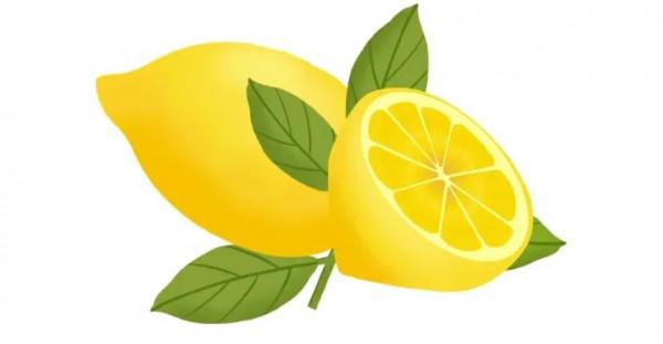 人生的價值是什麼 人生的價值是什麼