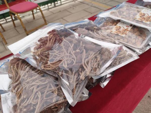 雞樅人工種植成功？野生食用菌產業大會，重新整理你對食用菌的認知