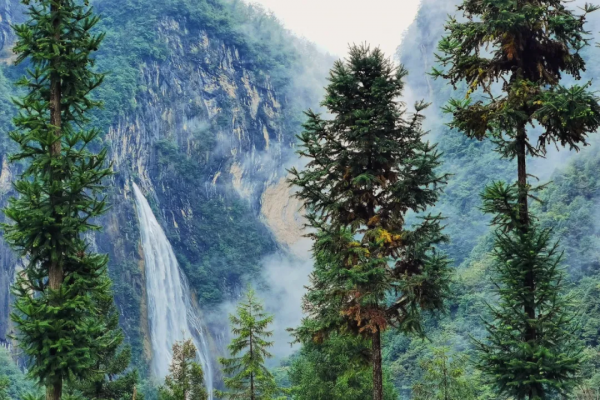 這個夏天均溫23℃的“中國涼爽之城”,也藏得太深了 這個夏天均溫23℃的“中國涼爽之城”,也藏得太深了