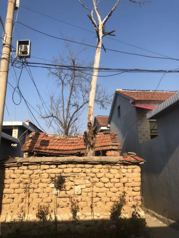 “神奇”的澇坡河村和一樁奇案 “神奇”的澇坡河村和一樁奇案