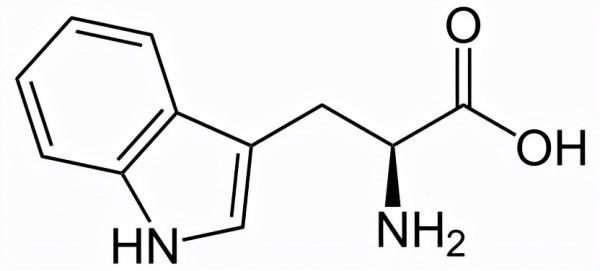 如果外星人是矽基生命，要如何尋找它們？