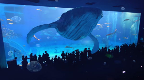 群創線上秀新品，強攻車用、元宇宙商機