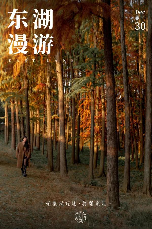 在東湖過元旦，好多新板眼！