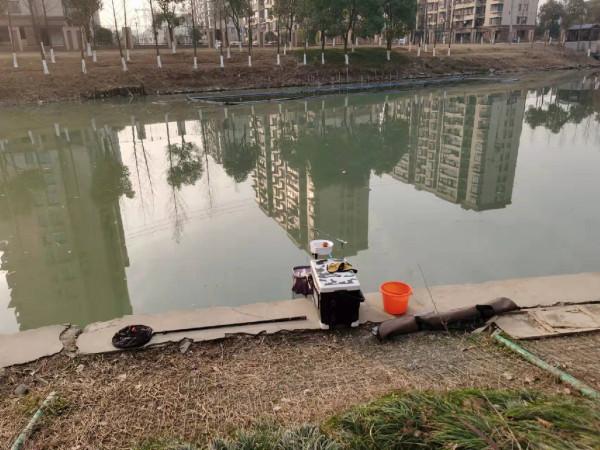 釣無定律，根據魚情調整了浮漂和餌料狀態，讓我收穫滿滿