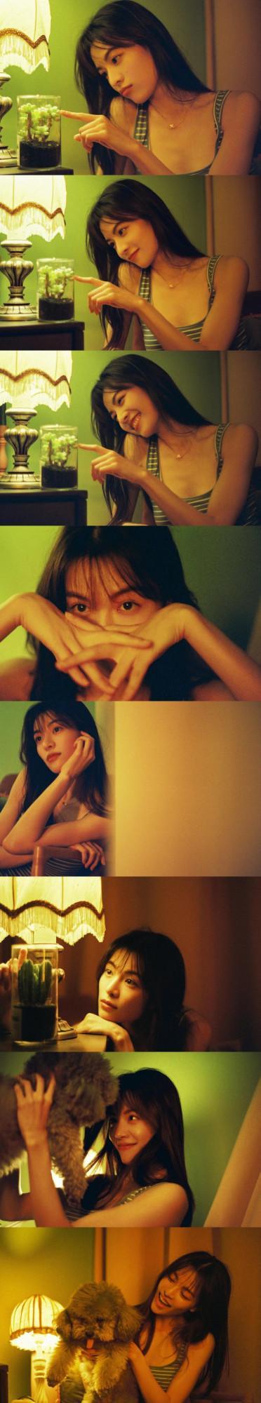 明豔美人｜鍾楚曦美圖