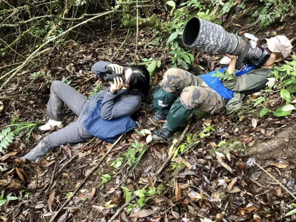 荒野為伴、大熊貓為鄰, 拯救鳥類的女孩, 讓人看到堅持熱愛的人多美 荒野為伴、大熊貓為鄰, 拯救鳥類的女孩, 讓人看到堅持熱愛的人多美