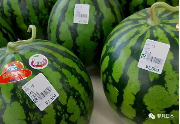 日本雜談｜日本那些讓外國人高呼難以接受的 9個事情