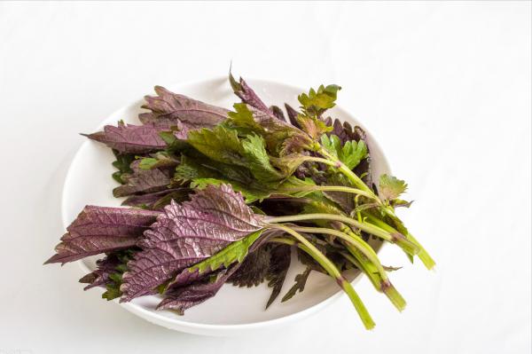 揭秘18種做菜常用的香料,用法用量搞明白了,廚藝大漲真不是事 揭秘18種做菜常用的香料,用法用量搞明白了,廚藝大漲真不是事