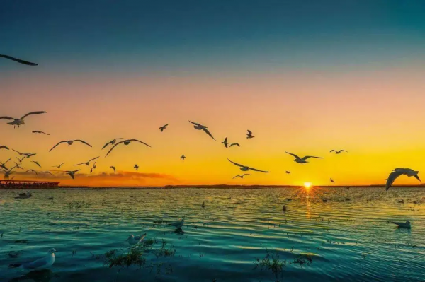 國內這10個絕美的旅行地，去過5個就是旅行達人，你去過幾個呢？