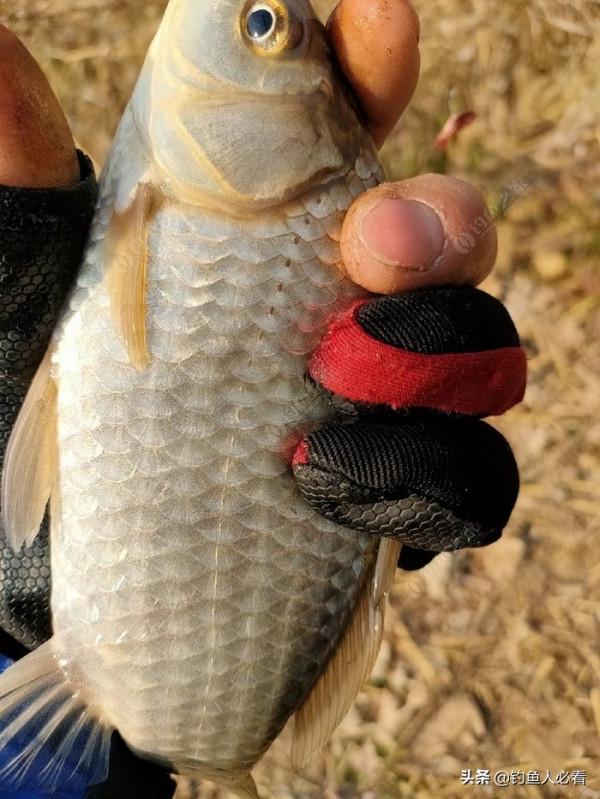 冬季出釣時，什麼天氣和什麼風向最容易出魚？淺談個人觀點