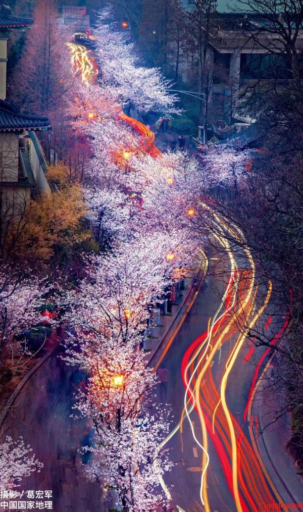 感謝《國家地理》雜誌，讓我們可以看到這麼美得景色