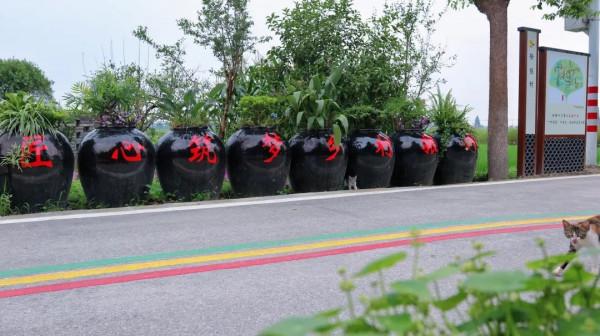 走,到練塘徐練村打卡去 走,到練塘徐練村打卡去