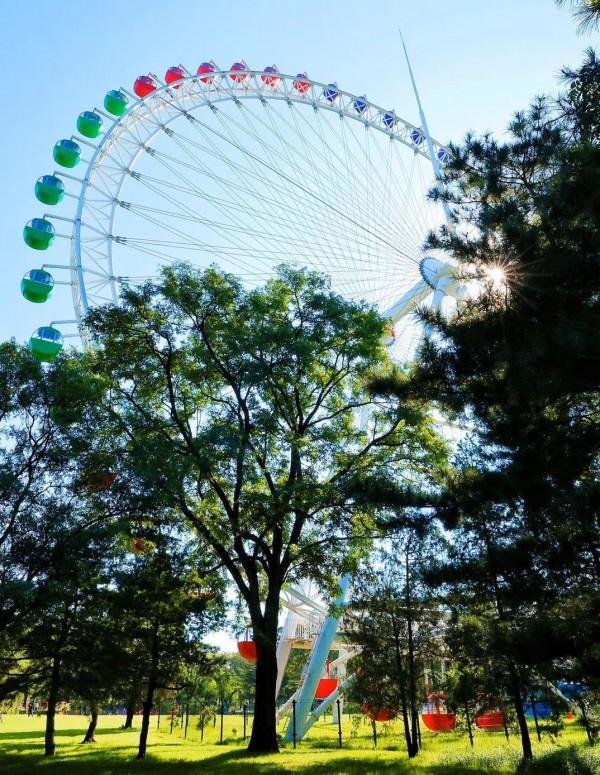 北京這三個地火了!週末必打卡的遛娃景點,趕緊去 北京這三個地火了!週末必打卡的遛娃景點,趕緊去