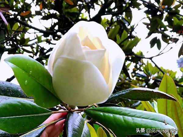 人生很短，天涯很遠，2022如若疫情淡去，唯旅行美食不可負也？