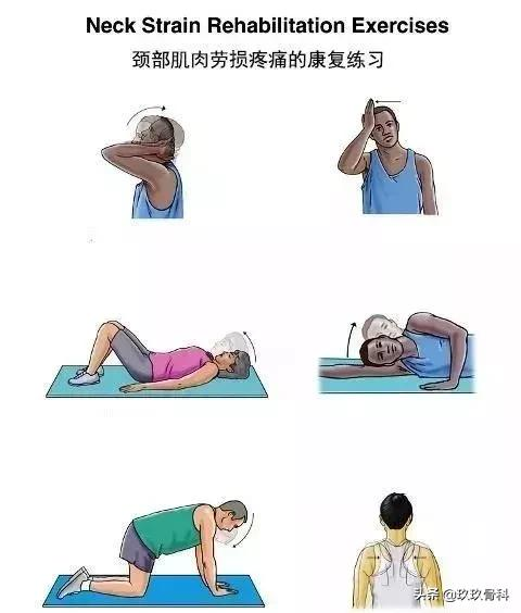 10套頸、肩、背、腰、腿的疼痛康復練習序列