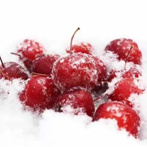 只壞了一點點的水果到底能不能吃?來聽聽專家怎麼說 只壞了一點點的水果到底能不能吃?來聽聽專家怎麼說