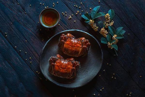 關於螃蟹、桂花、睡衣和小籠包的五十種解釋 關於螃蟹、桂花、睡衣和小籠包的五十種解釋