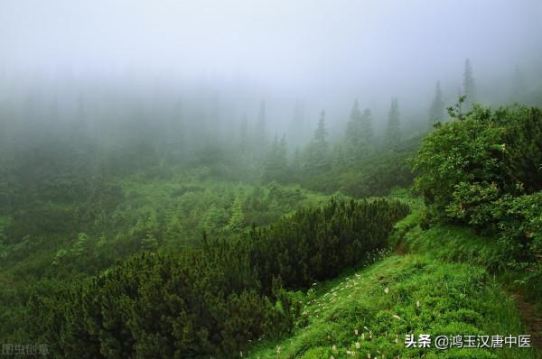 記住陰陵泉這個穴位，可以輕鬆去除你身上的溼氣