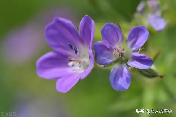 62歲大媽:每月給我3000養老金,我才有安全感。1L子:這是禍根啊 62歲大媽:每月給我3000養老金,我才有安全感。1L子:這是禍根啊