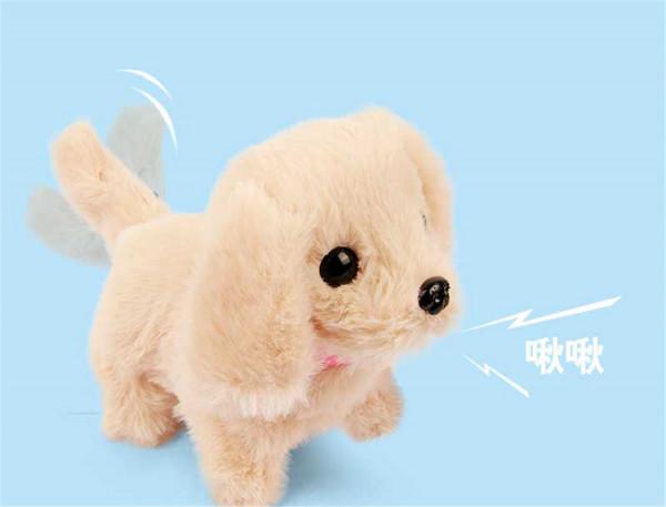 玩樂與共，粟粒寵物玩具創造孩子與萌寵的歡樂時光