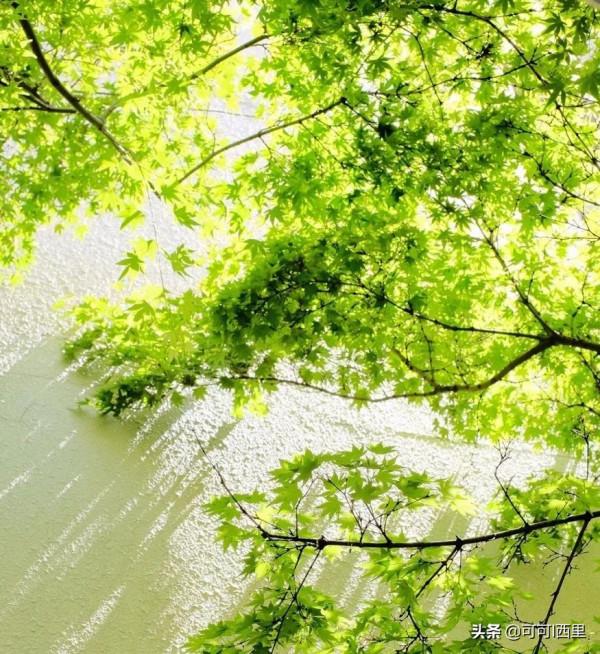 知足不知足 讀《道德經》有感