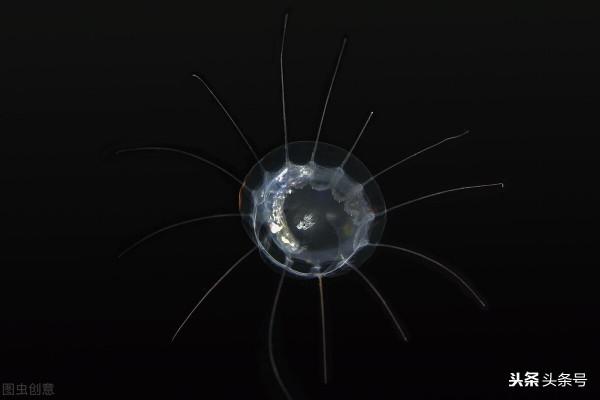 萬米海底的世界，三個理由讓你覺得海底恐懼