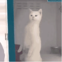 家庭主婦被撞就可以不賠誤工費了嗎？