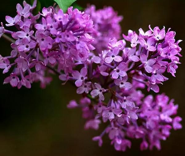 透過細節看一個人的本質,有些現象,還挺準的 透過細節看一個人的本質,有些現象,還挺準的