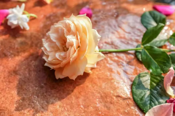 六十歲的樊大媽：我沒有一分錢的退休金，卻天天都活得非常開心