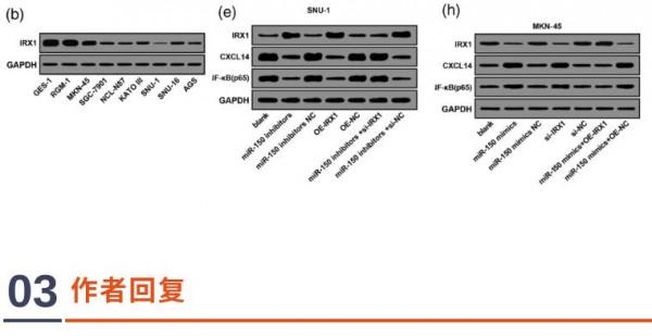 中南大學湘雅第三醫院團隊論文因大量圖片修改問題遭質疑 中南大學湘雅第三醫院團隊論文因大量圖片修改問題遭質疑