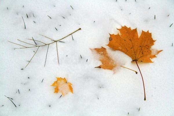 他活到90歲，月薪1.2萬，癱瘓在床12年，這個冬天體面地離開