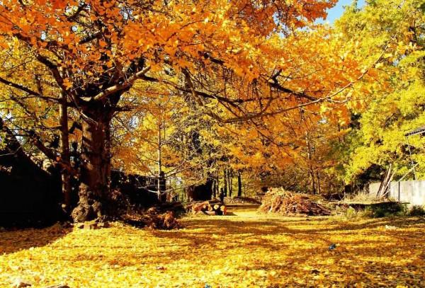 中國最美48個絕美之地，每一處都是獨一無二的存在，你去過幾個？