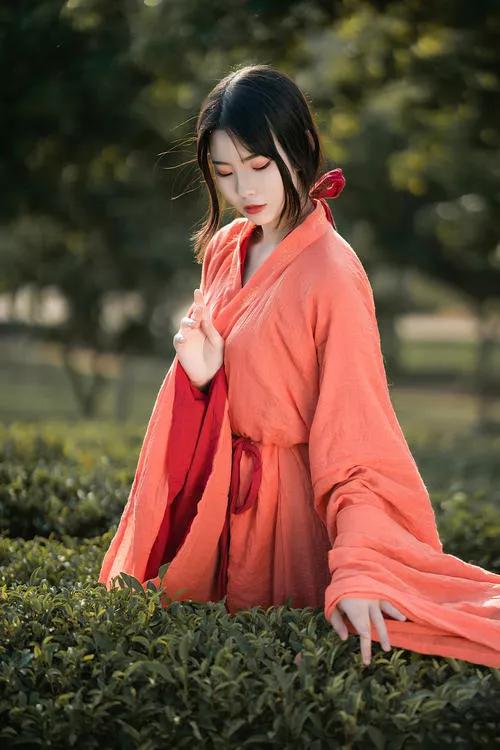 無題/妄圖仗劍走天涯，日落黃昏賞晚霞