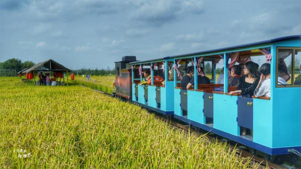 瀋陽稻夢空間堪稱“世界之最”，買門票還送大米，假期你會去嗎？