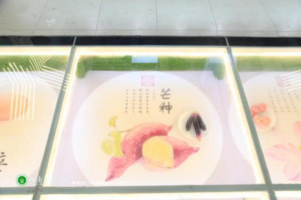 美美美,14000㎡等你發現,農大餐廳煥新啦 美美美,14000㎡等你發現,農大餐廳煥新啦