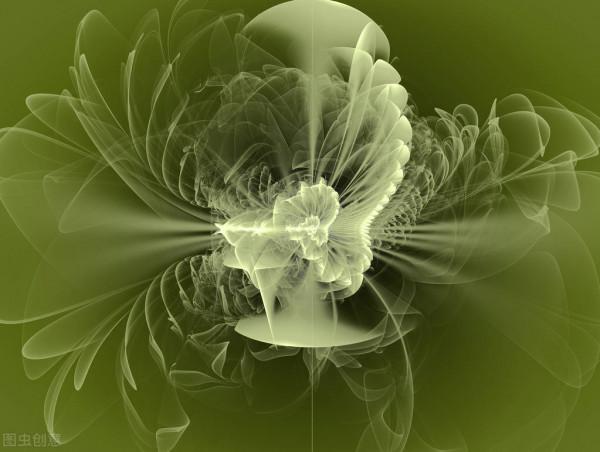 很獨特的花兒，不忍心獨享。你可能沒見過幾樣。有幾種你認識的？