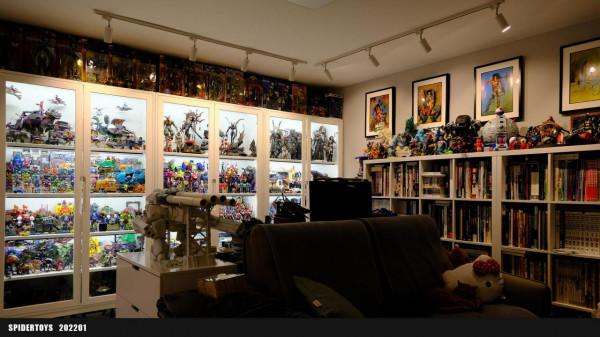 除了錢以外，玩具收藏愛好者們面臨最大的問題是什麼？