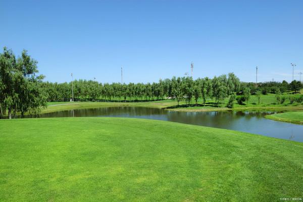 生豬期貨的陽謀，交割月前再收割一次，誰讓散戶無法交割呢