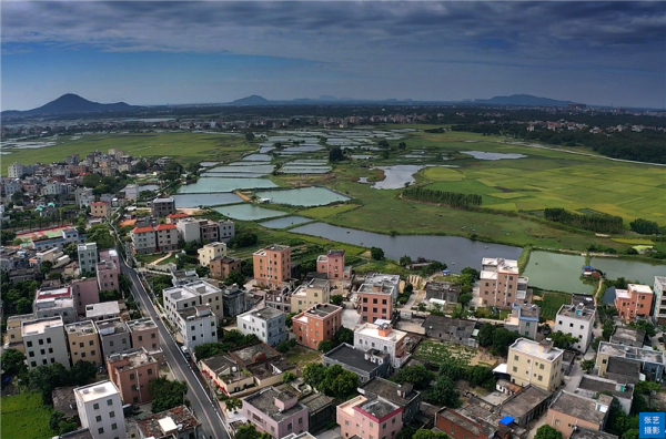 陽江表竹村：探尋當年紅色故事，還原70年前恩陽臺三地的革命風雲