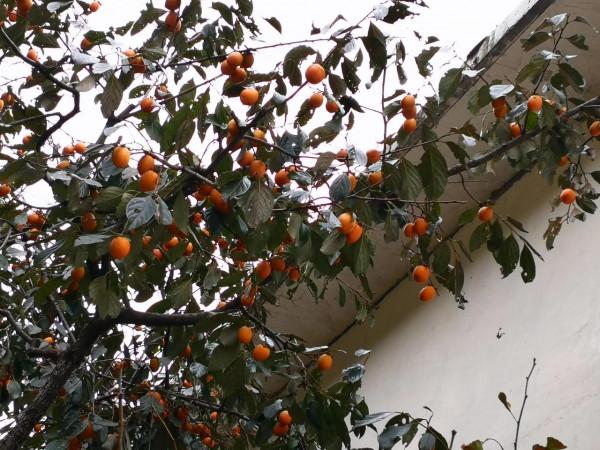 地球上沒被遺忘的角落 地球上沒被遺忘的角落