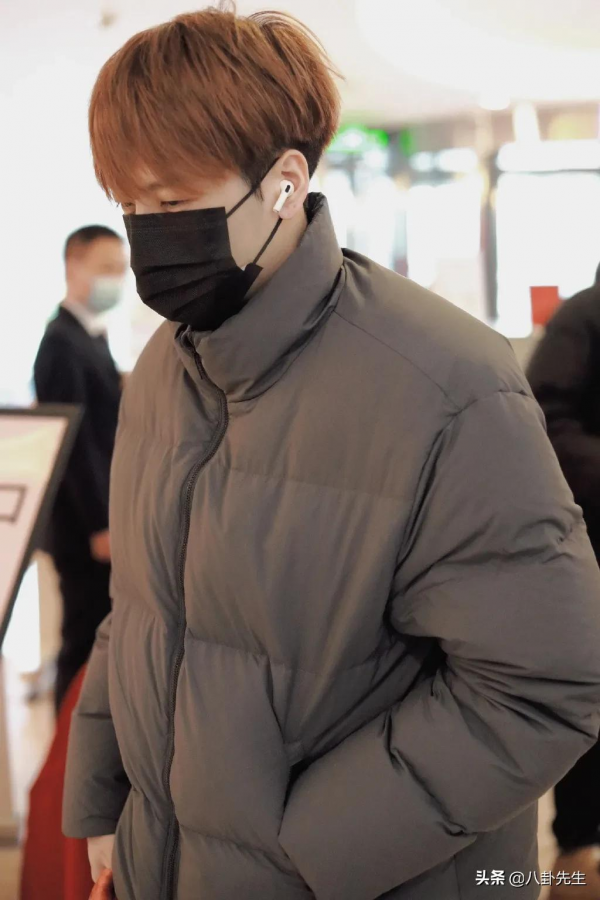 5位港臺明星參加春晚聯排：陳妍希背8萬包包，71歲譚詠麟自搬行李