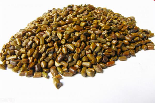 高血壓、頭暈、失眠?常泡三物,平肝、滋陰,有助降血壓 高血壓、頭暈、失眠?常泡三物,平肝、滋陰,有助降血壓