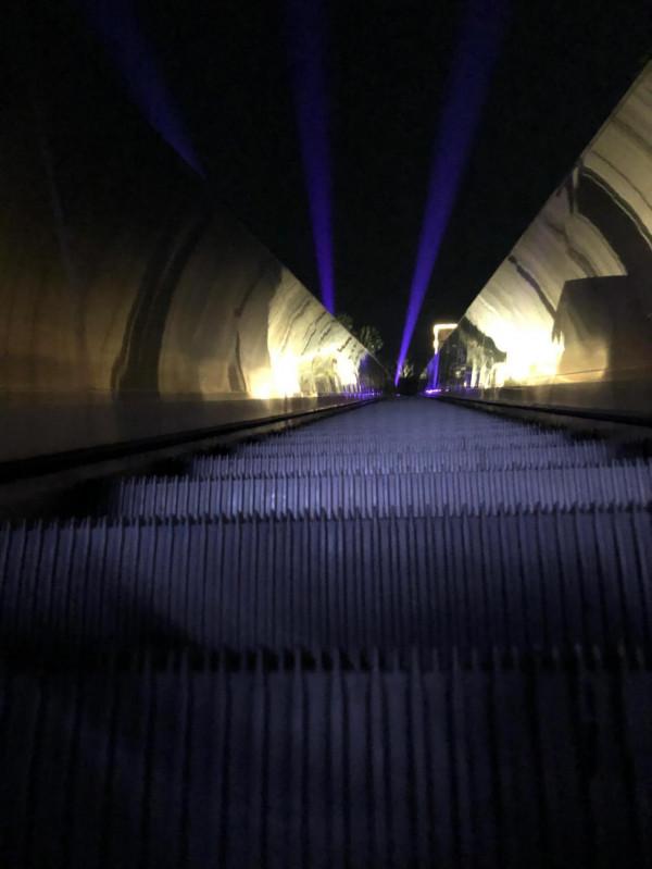 江蘇園博園20元門票是否值得